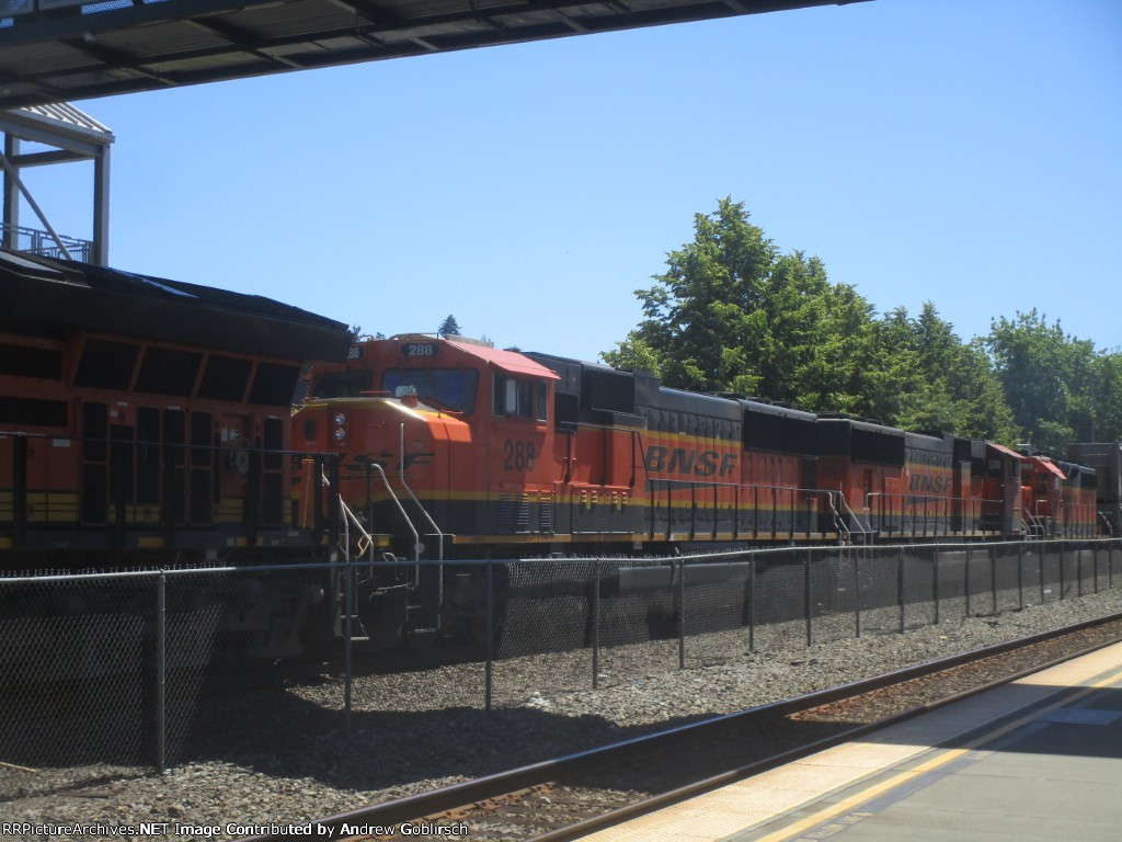 BNSF 288